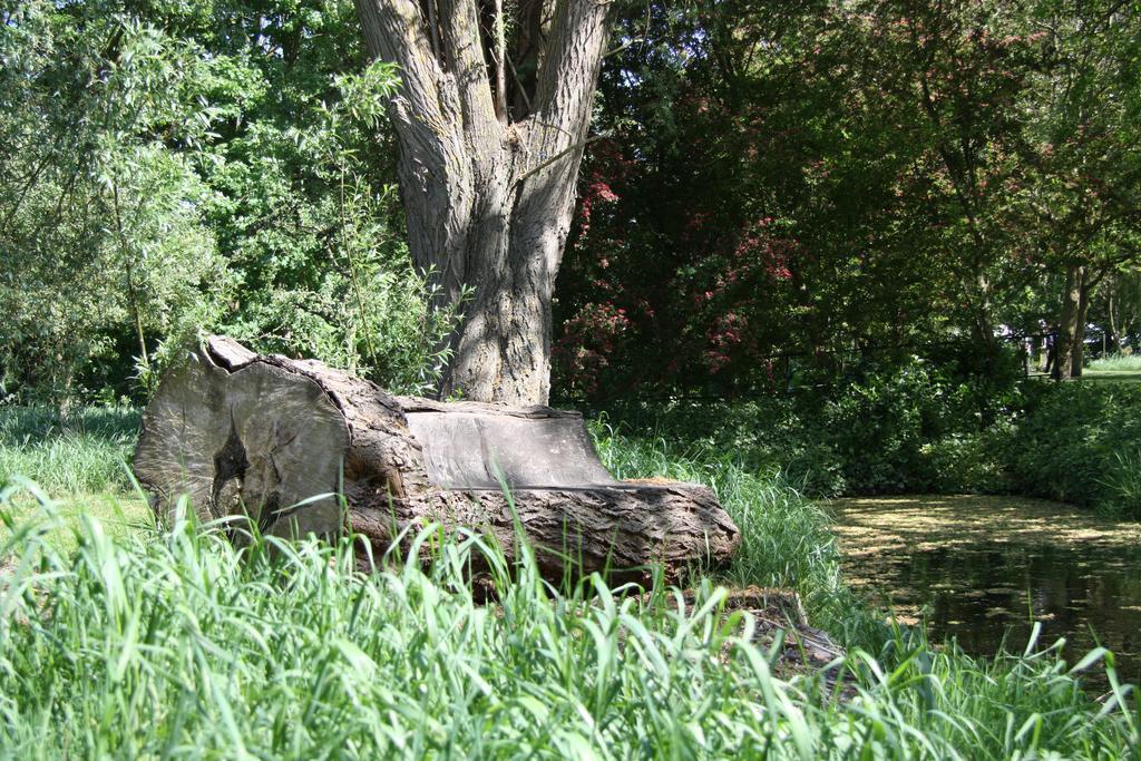 'T Koetshuys Villa Heenvliet Kültér fotó